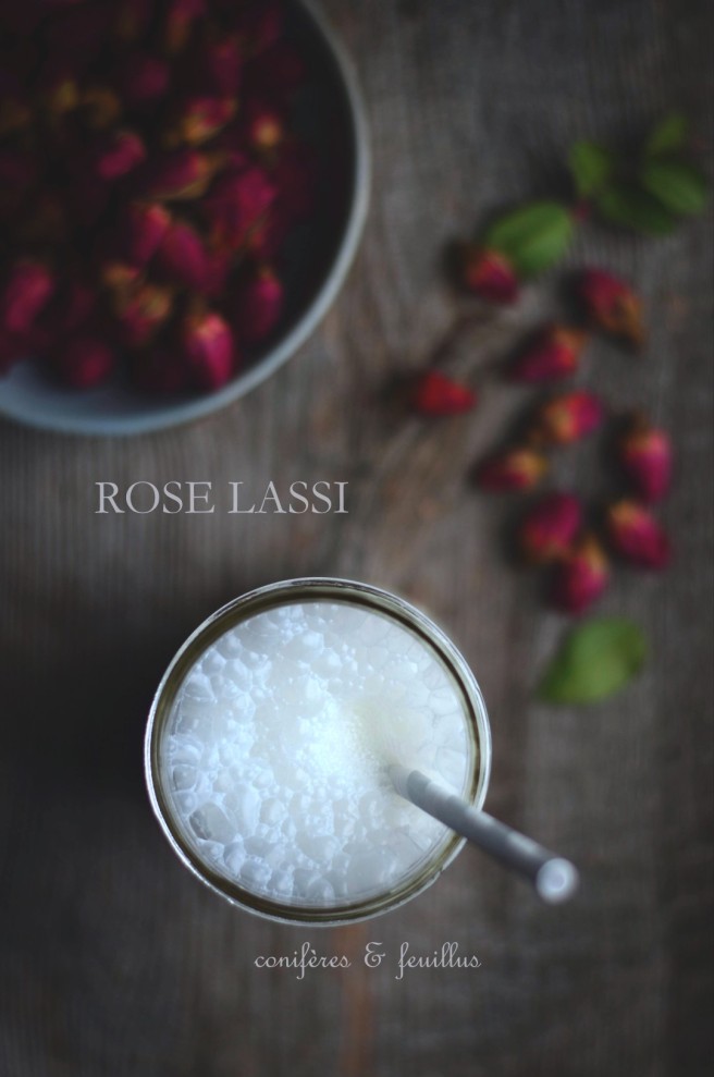 Rose Lassi | conifères & feuillus