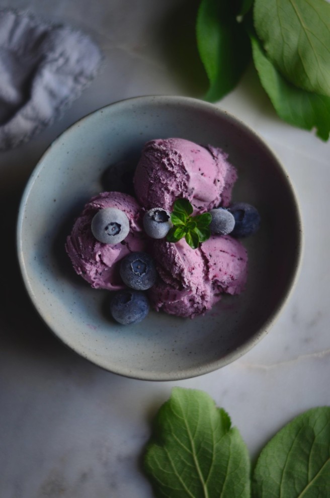 Blueberry & Lemon Ice Cream | conifères & feuillus